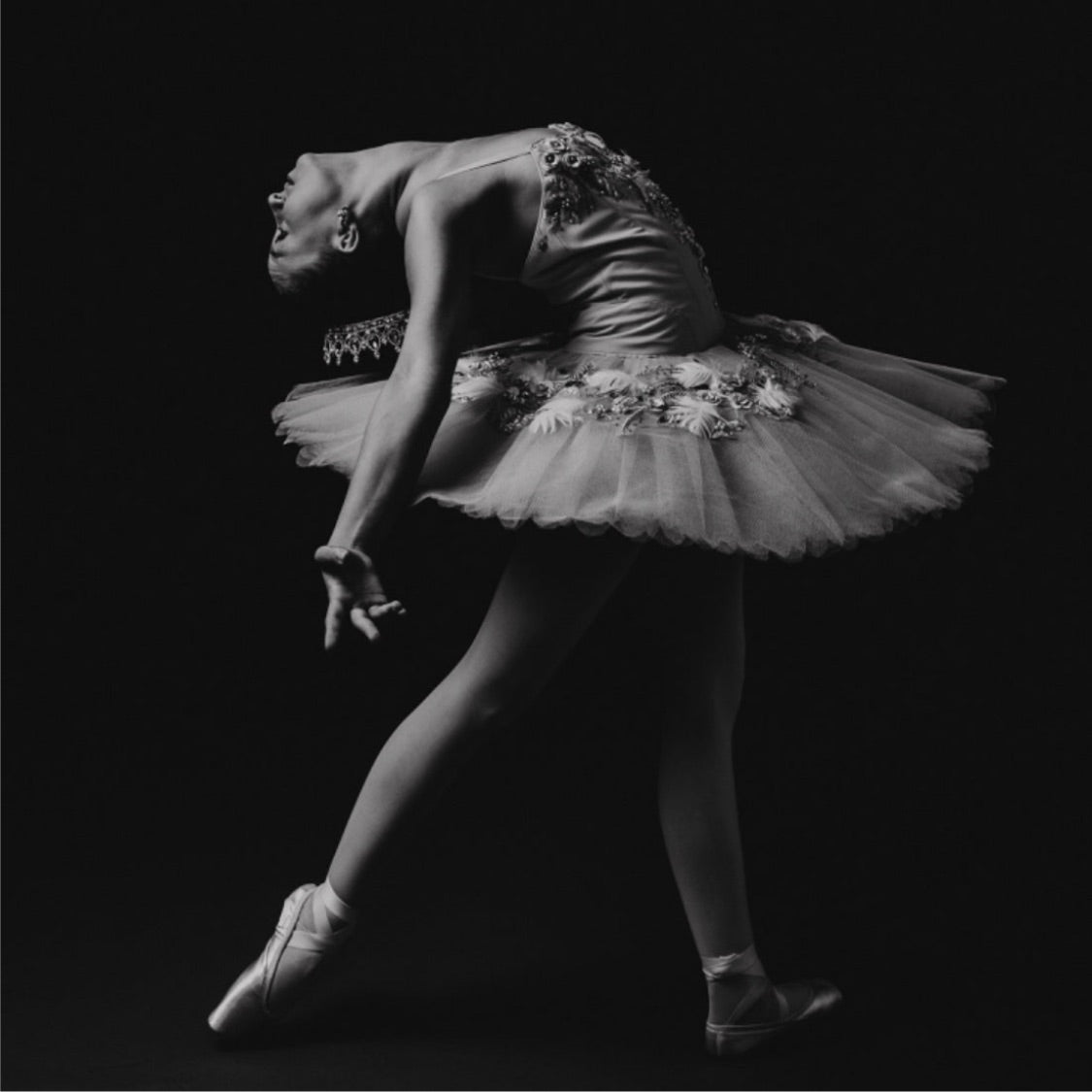 Blue Bird Tutu