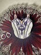 Magenta Professional Tutu 02