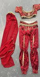 Arabian Dance Costume 002