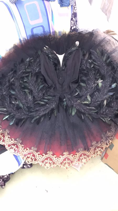 Black Swan Tutu – Beyond Tutus