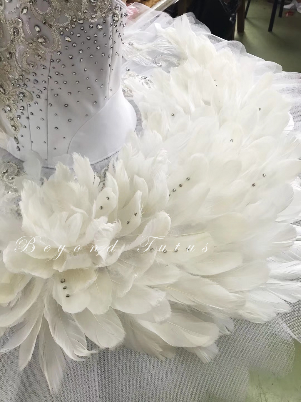 Beyond Tutus