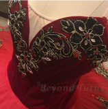 Beyond Tutus